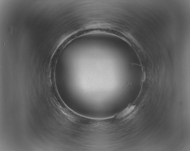 X0000056360830200508291342