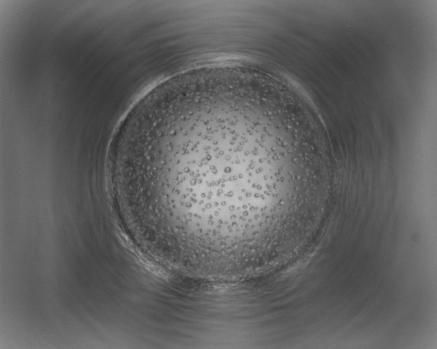 X0000056360835200508291342