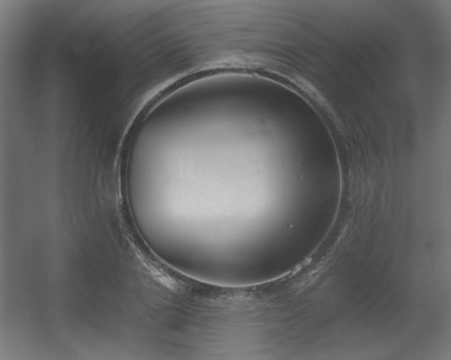 X0000056360838200508291342