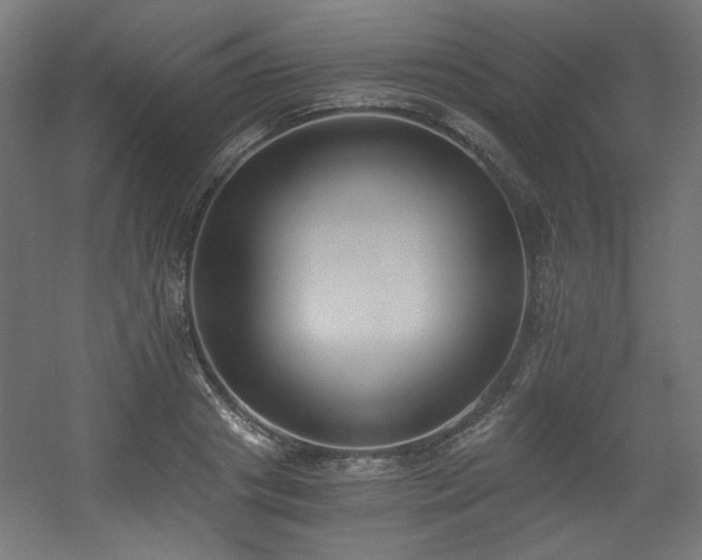 X0000056360841200508291342