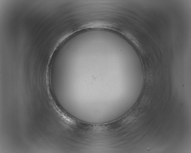 X0000056360848200508291342