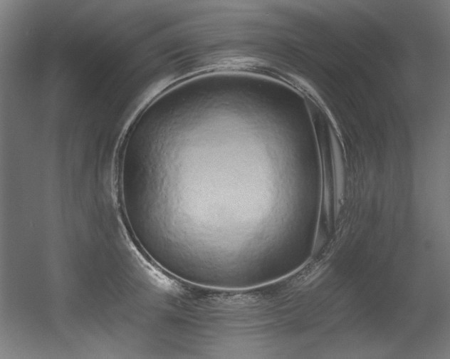 X0000056360851200508291342