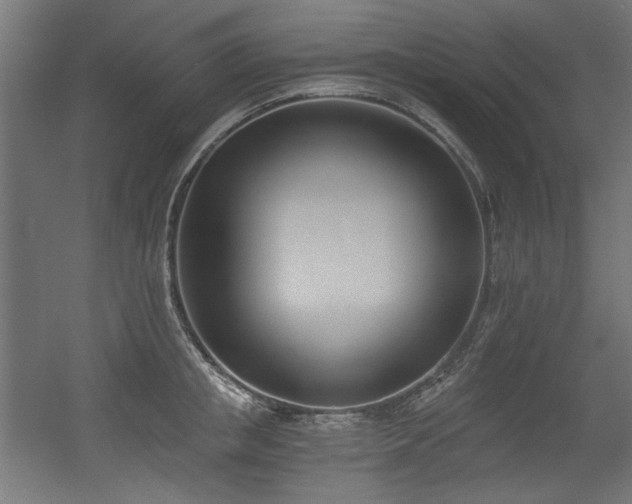 X0000056360853200508291342