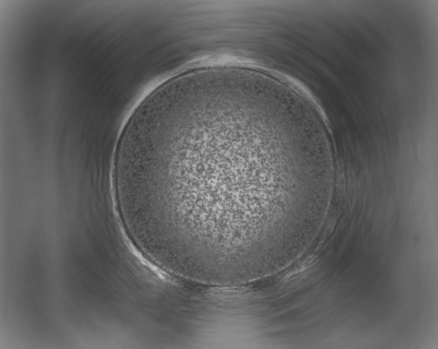 X0000056360863200508291342