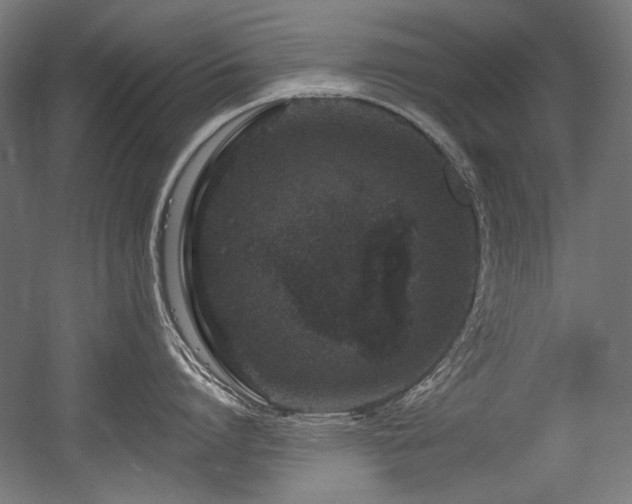 X0000056360864200508291343