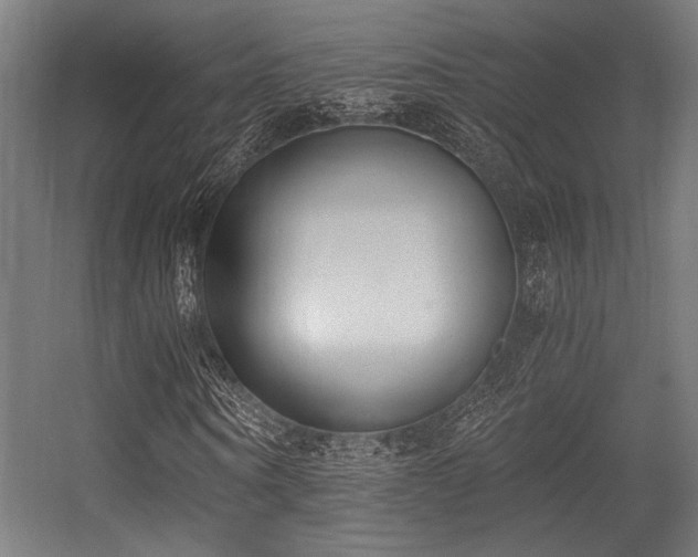 X0000056360866200508291342