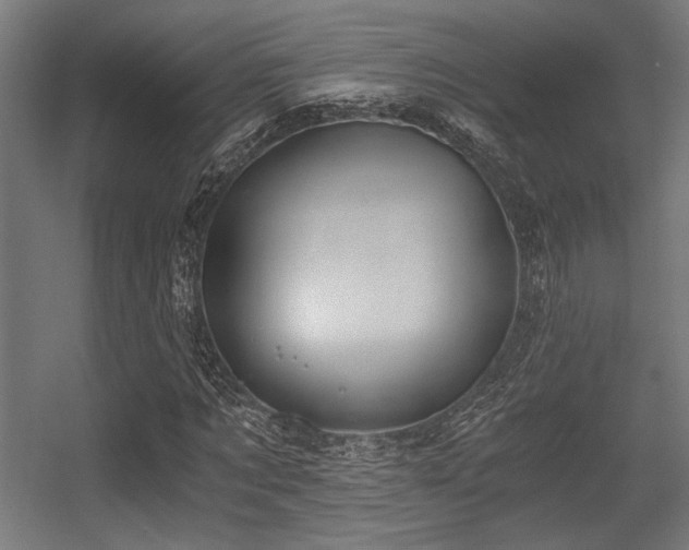 X0000056360869200508291342