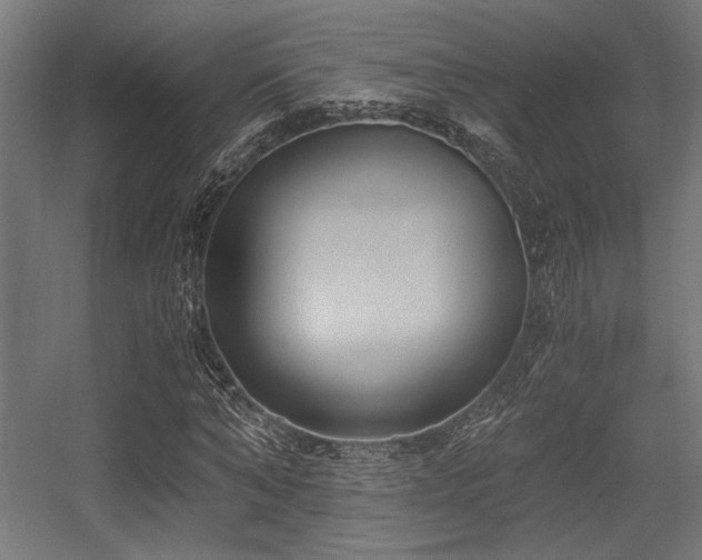 X0000056360870200508291342
