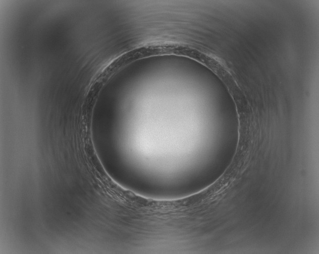 X0000056360871200508291342