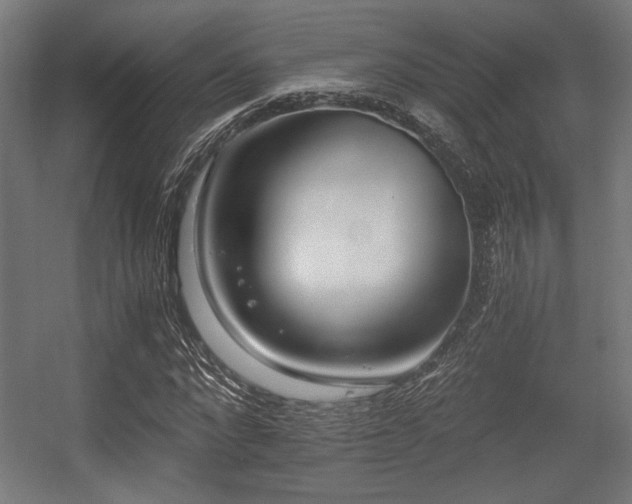 X0000056360872200508291342