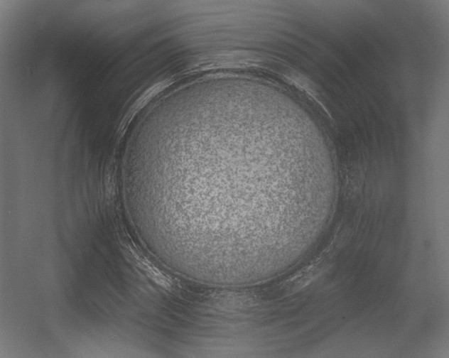 X0000056360874200508291342