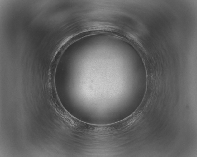 X0000056360875200508291342