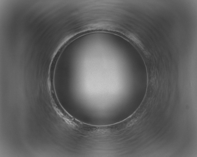 X0000056360888200508291341