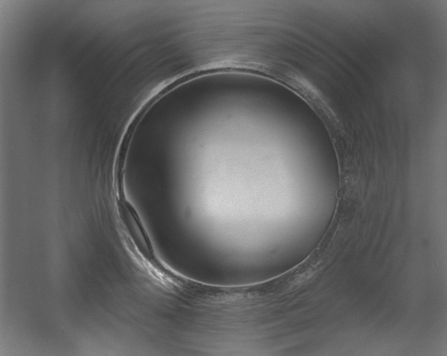 X0000056360892200508291341