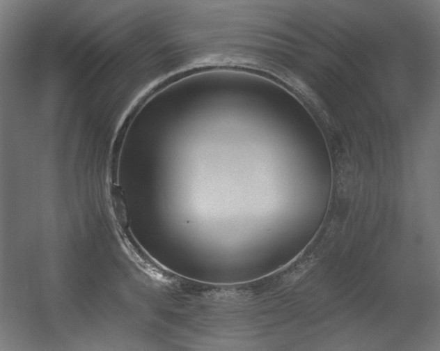 X0000056360896200508291341