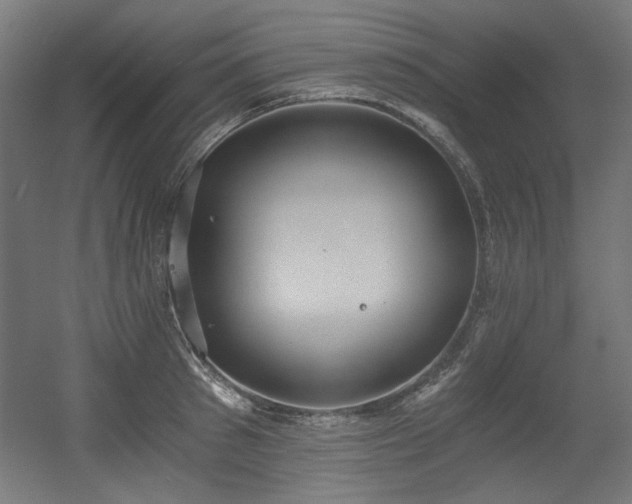 X0000056360897200508291341