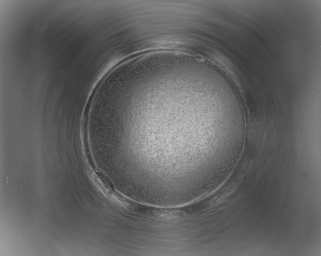 X0000056360899200508291341