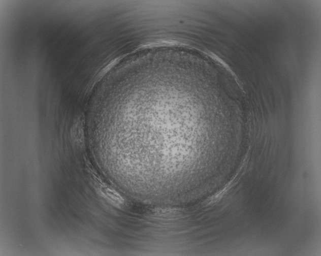 X0000056360921200508291340
