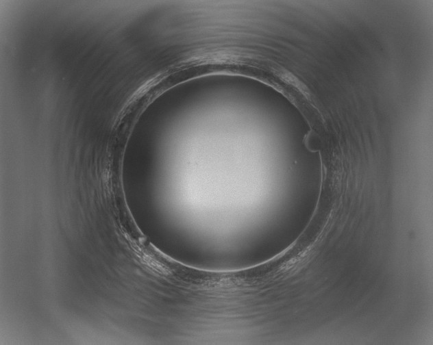 X0000056360922200508291340