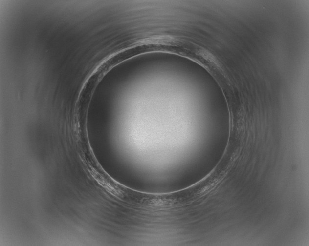 X0000056360923200508291340