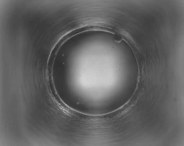 X0000056360924200508291340