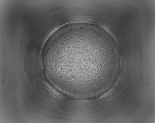 X0000056360925200508291340