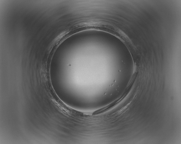 X0000056360930200508291340