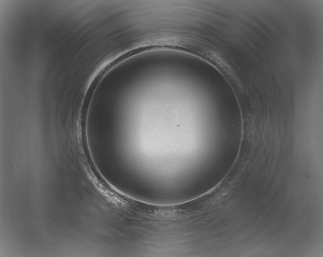 X0000056360944200508291341