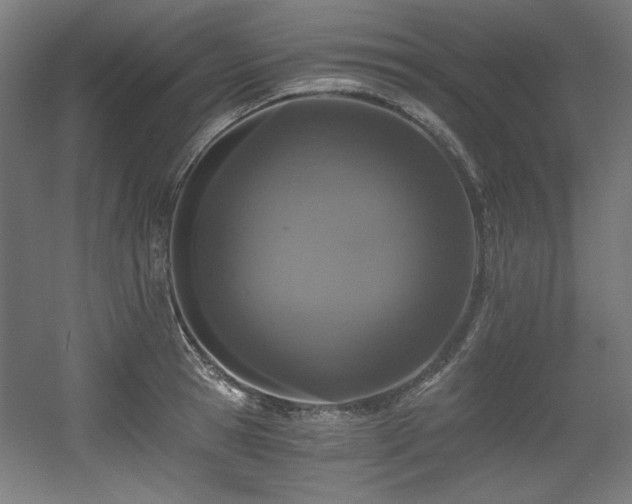 X0000056360945200508291341