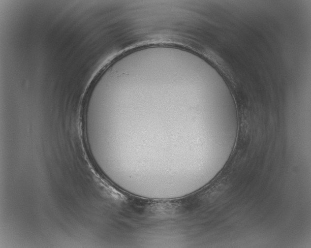X0000056360950200508291341