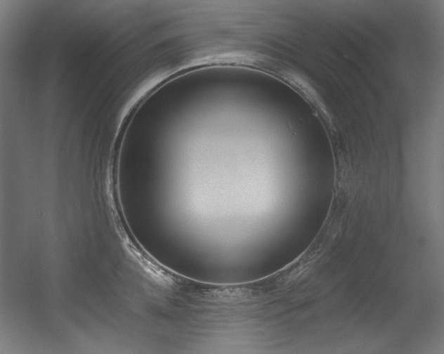 X0000056360952200508291341