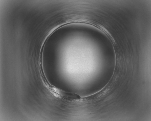 X0000056360956200508291341