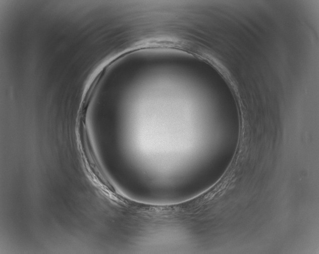 X0000056360960200508291341