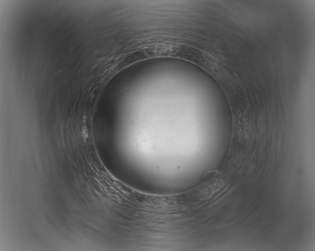 X0000056360962200508291340