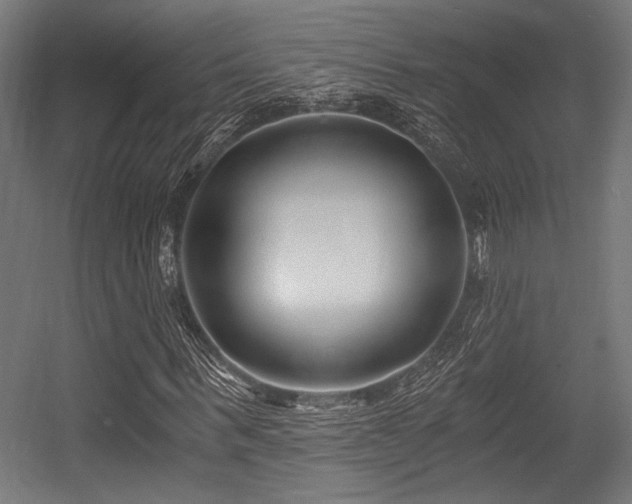 X0000056360963200508291340