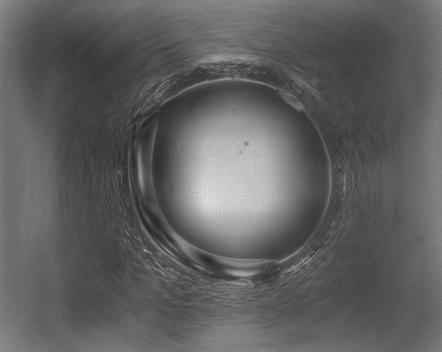 X0000056360965200508291340