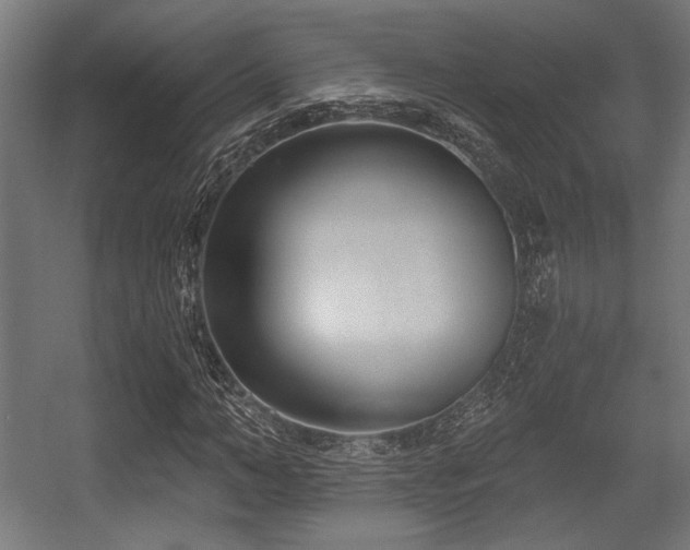 X0000056360966200508291340
