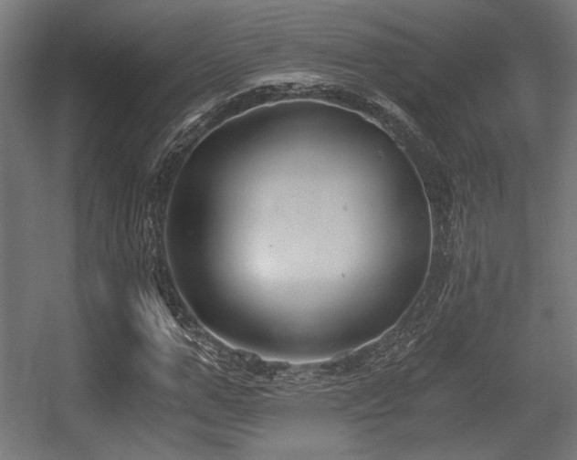 X0000056360967200508291340