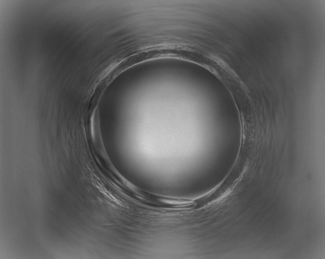 X0000056360969200508291340