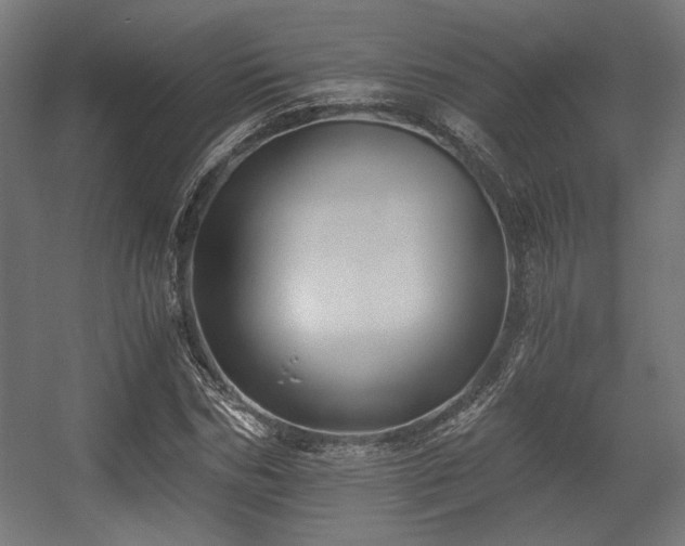 X0000056360970200508291340