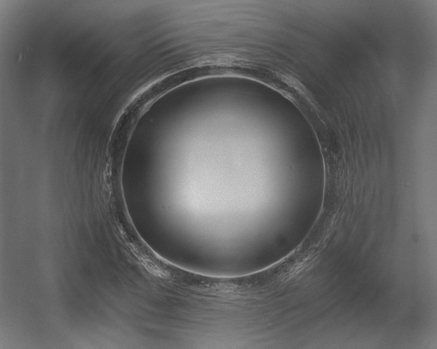 X0000056360971200508291340