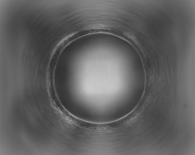 X0000056360979200508291340