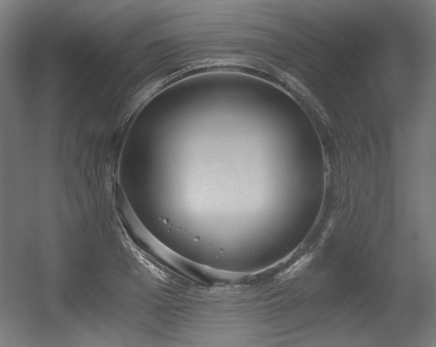 X0000056360985200508291340