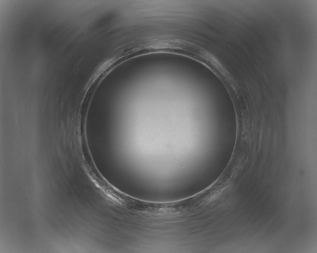 X0000056360986200508291340