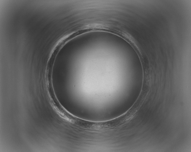 X0000056360987200508291340