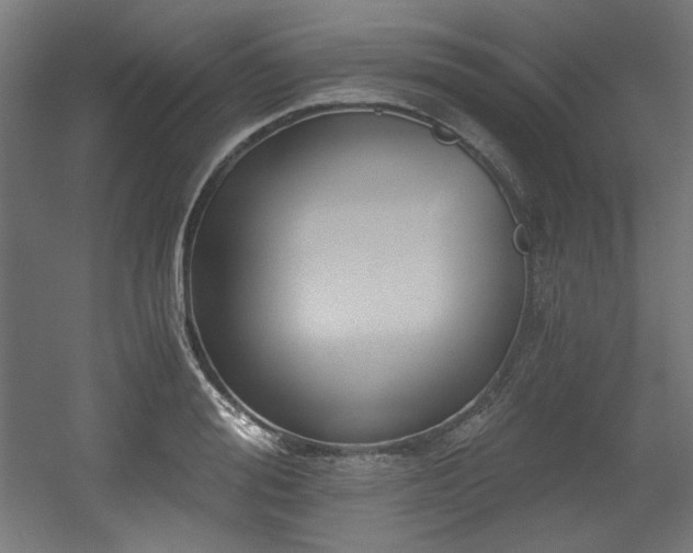 X0000056360988200508291340
