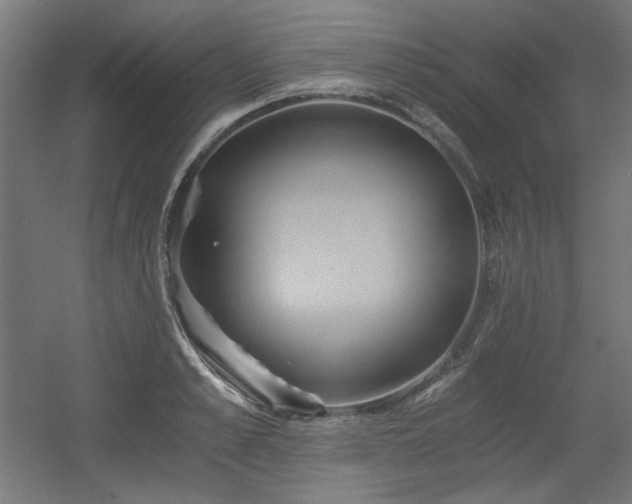 X0000056360989200508291340