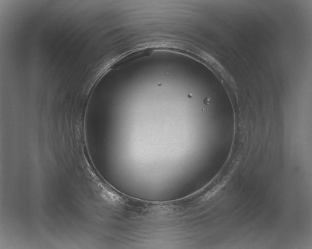 X0000056360993200508291340