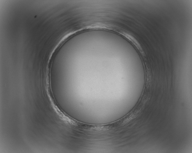 X0000056361000200508291339