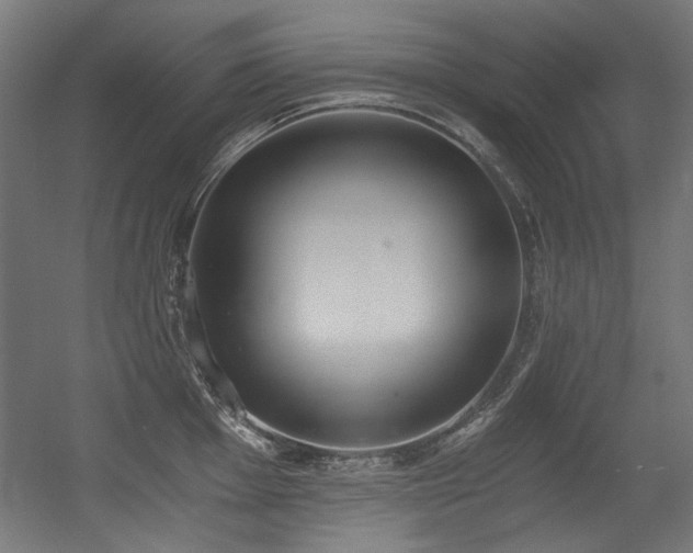 X0000056361001200508291339